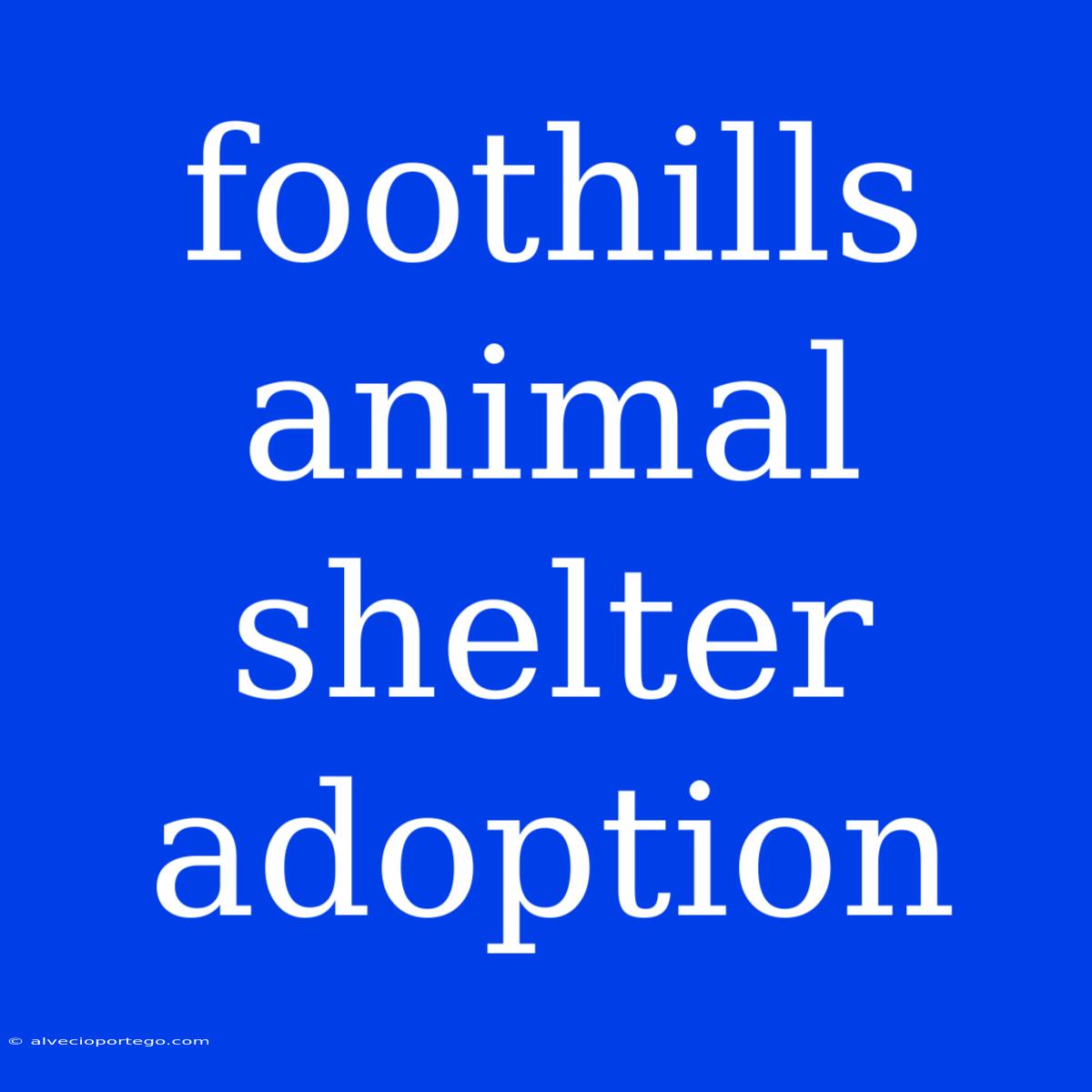 Foothills Animal Shelter Adoption