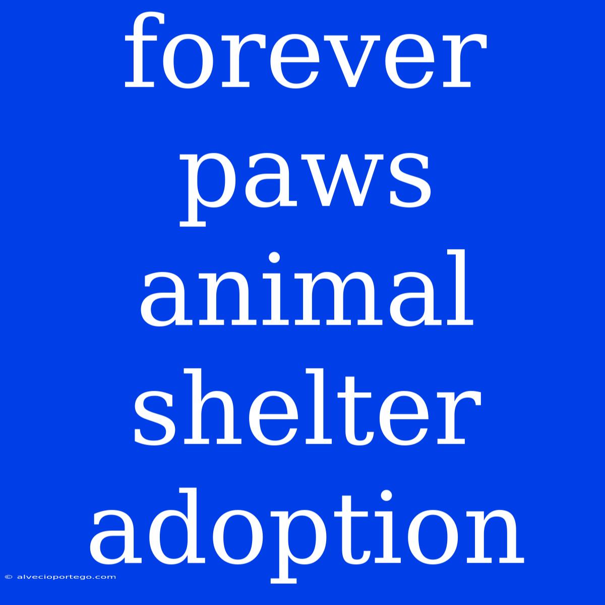 Forever Paws Animal Shelter Adoption