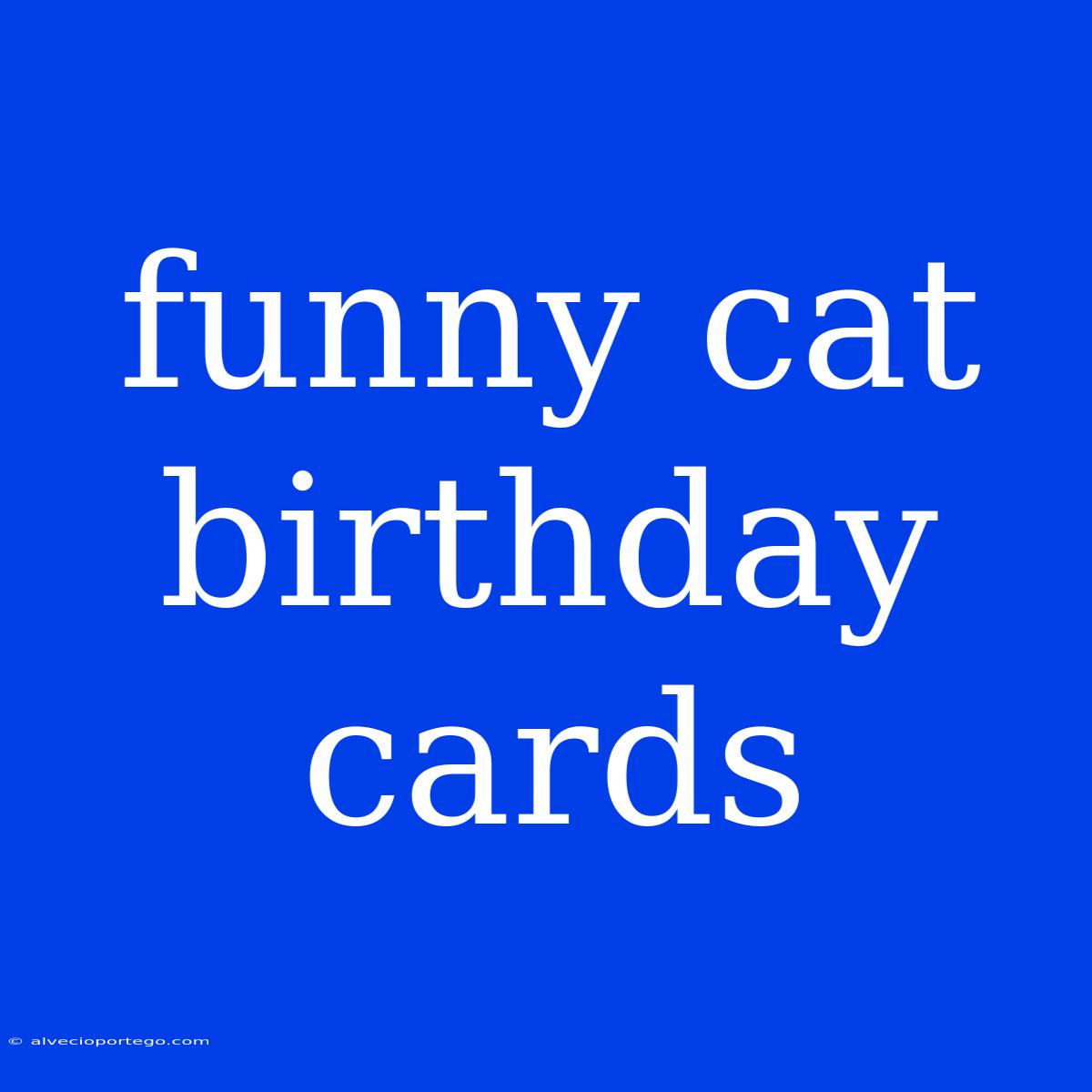 Funny Cat Birthday Cards