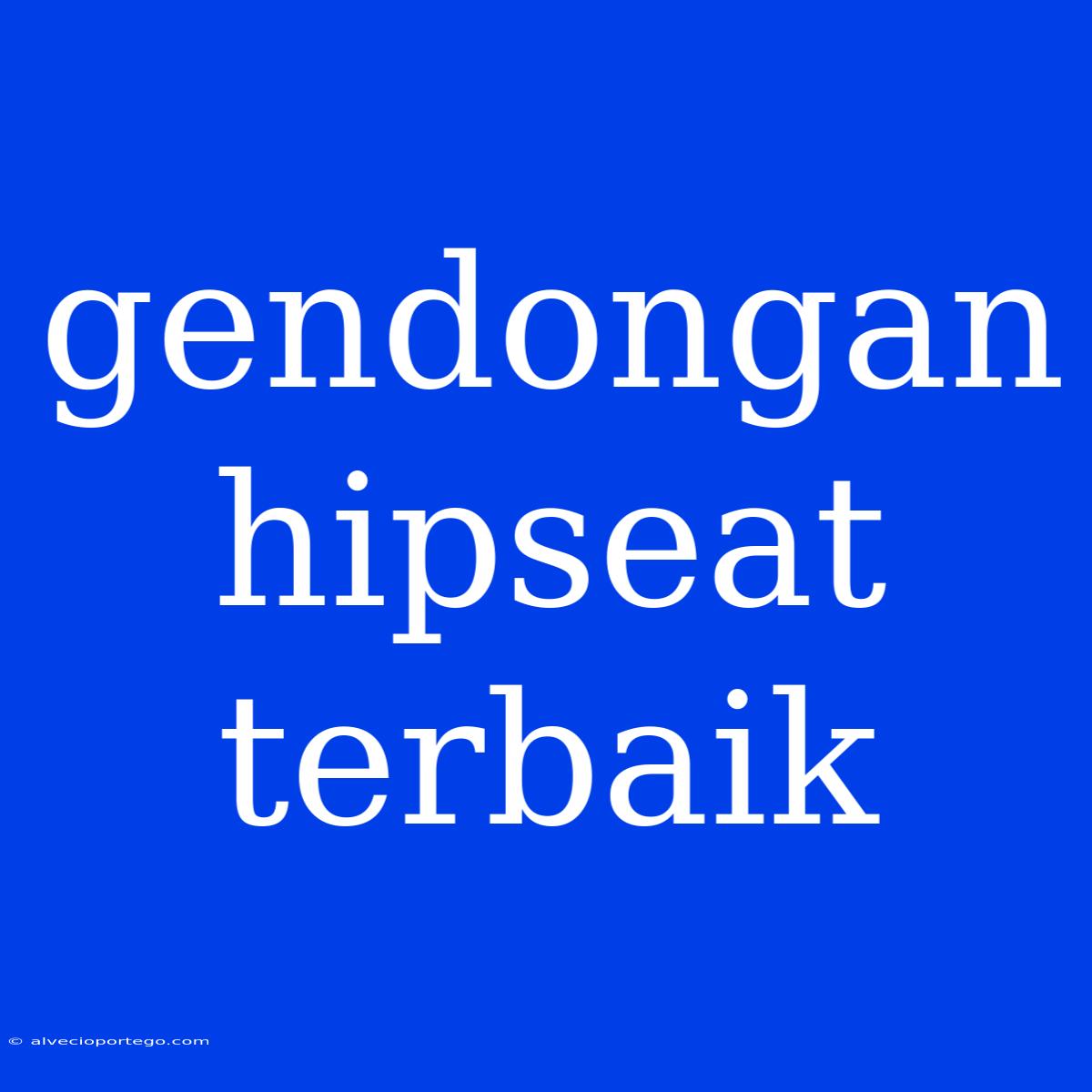 Gendongan Hipseat Terbaik