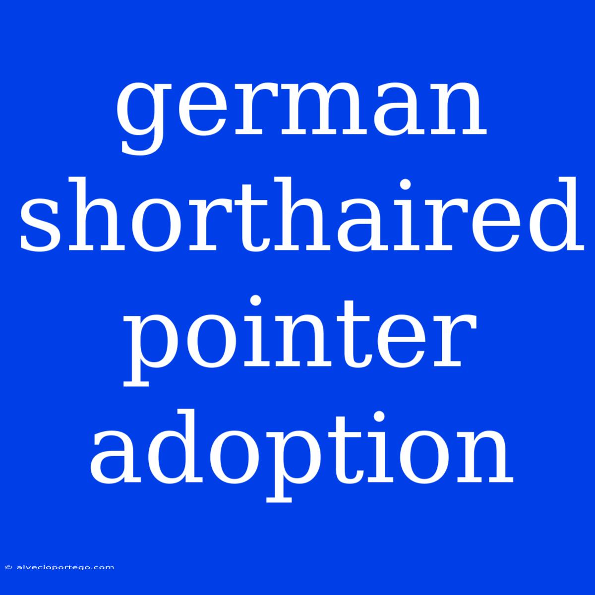 German Shorthaired Pointer Adoption