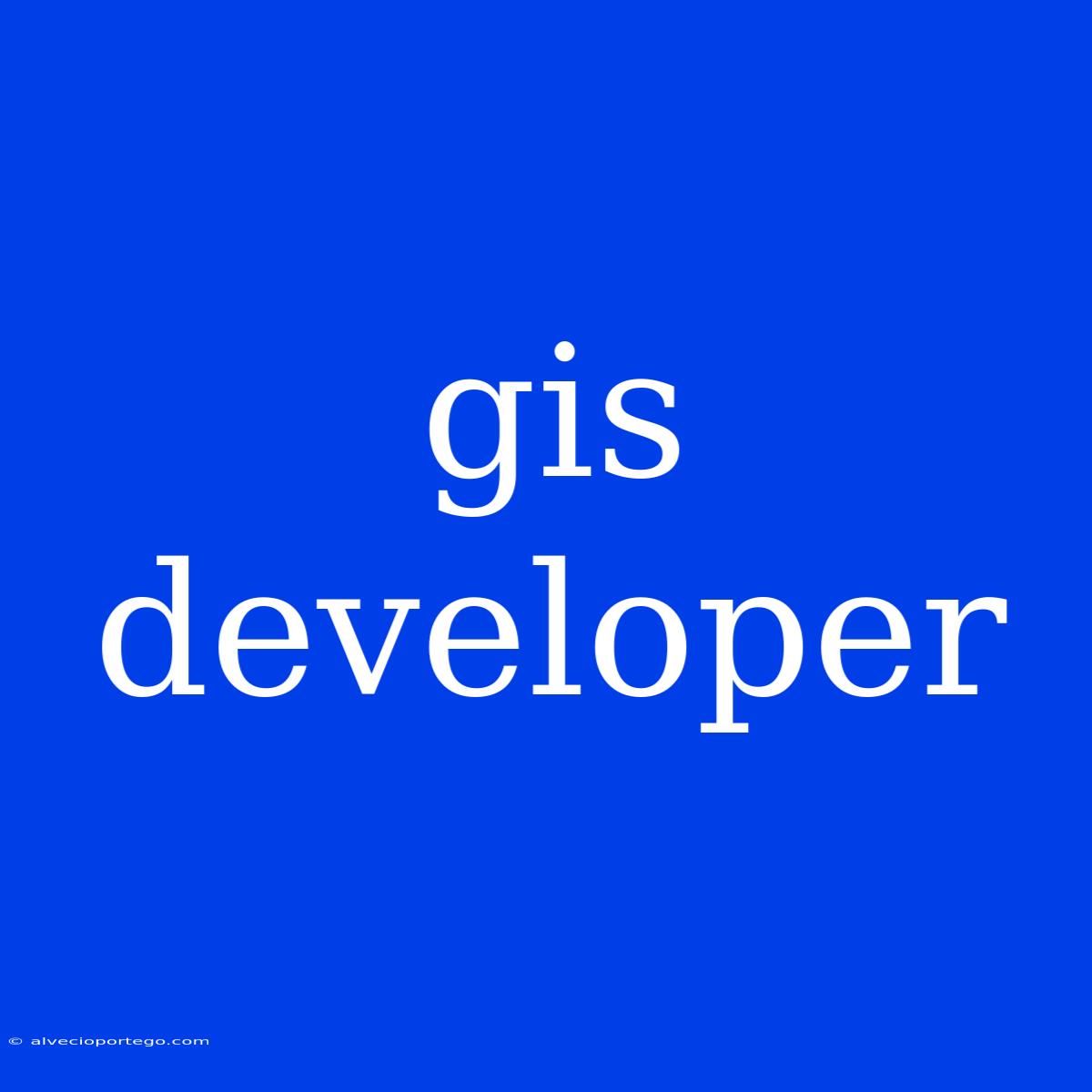 Gis Developer