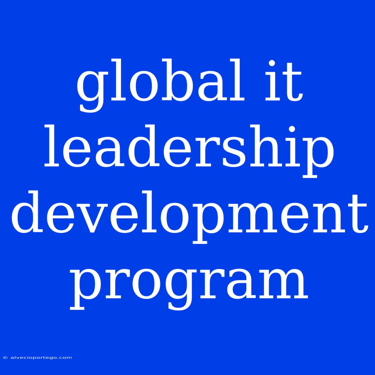 Global It Leadership Development Program