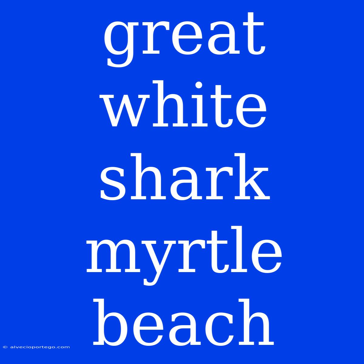 Great White Shark Myrtle Beach