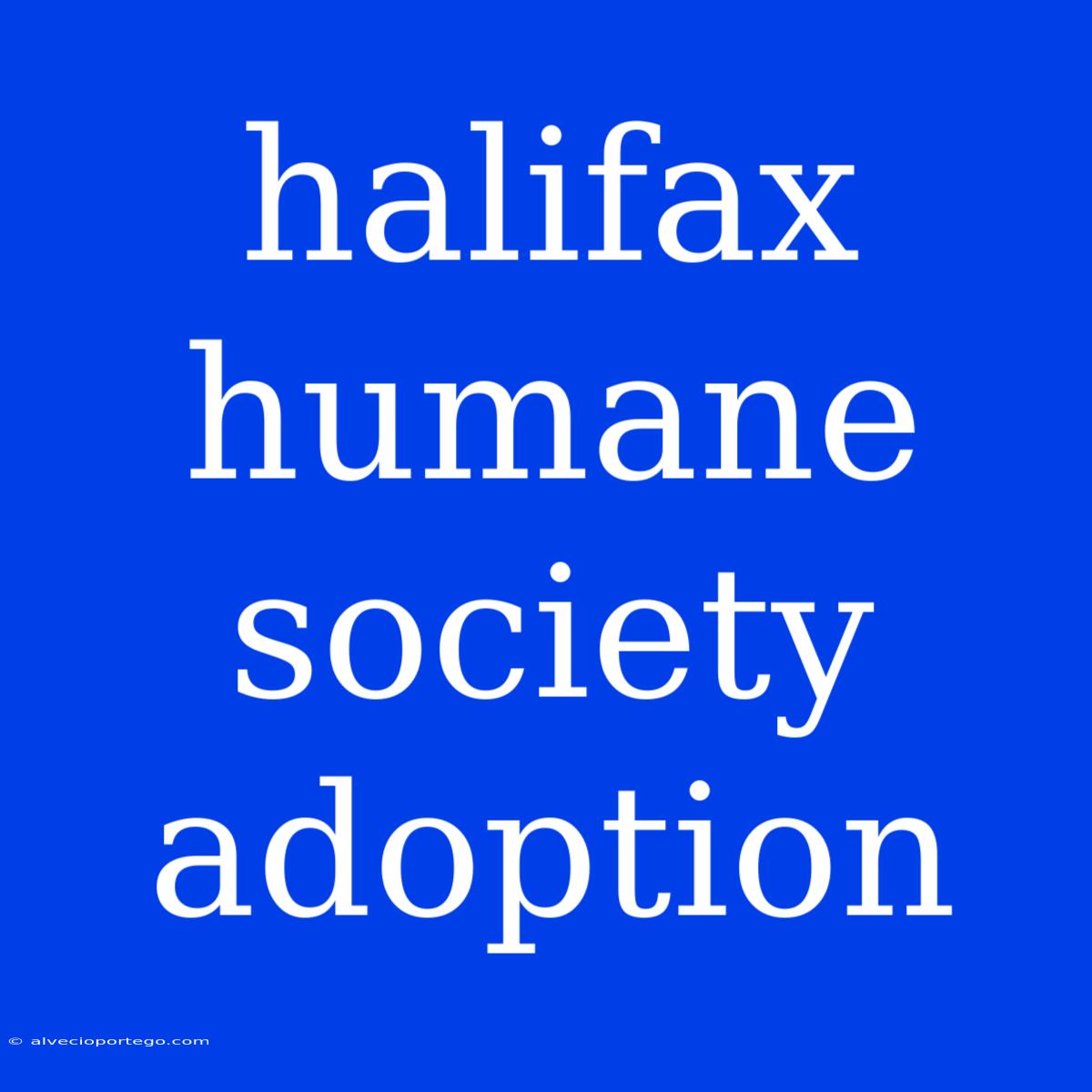 Halifax Humane Society Adoption