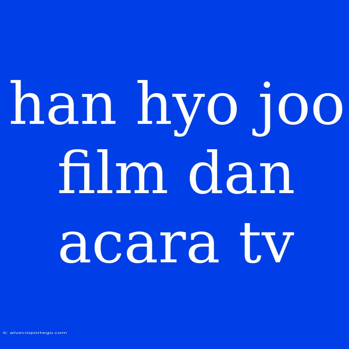 Han Hyo Joo Film Dan Acara Tv