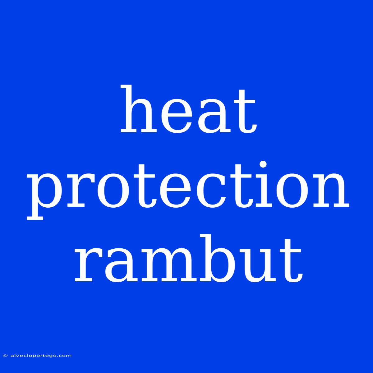 Heat Protection Rambut