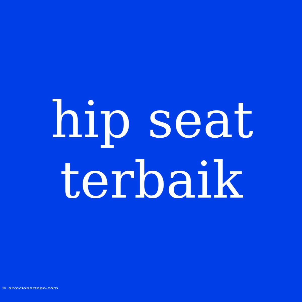 Hip Seat Terbaik