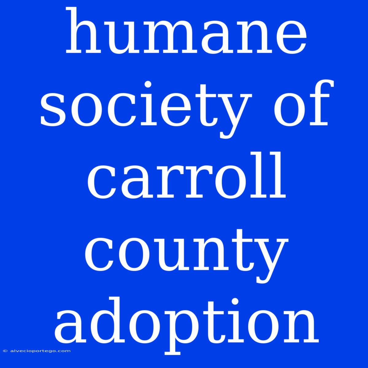 Humane Society Of Carroll County Adoption