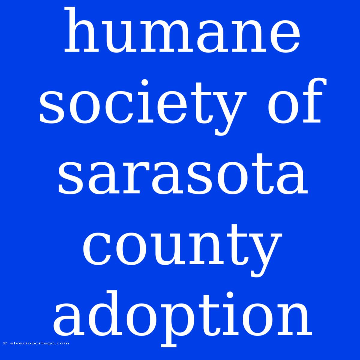 Humane Society Of Sarasota County Adoption