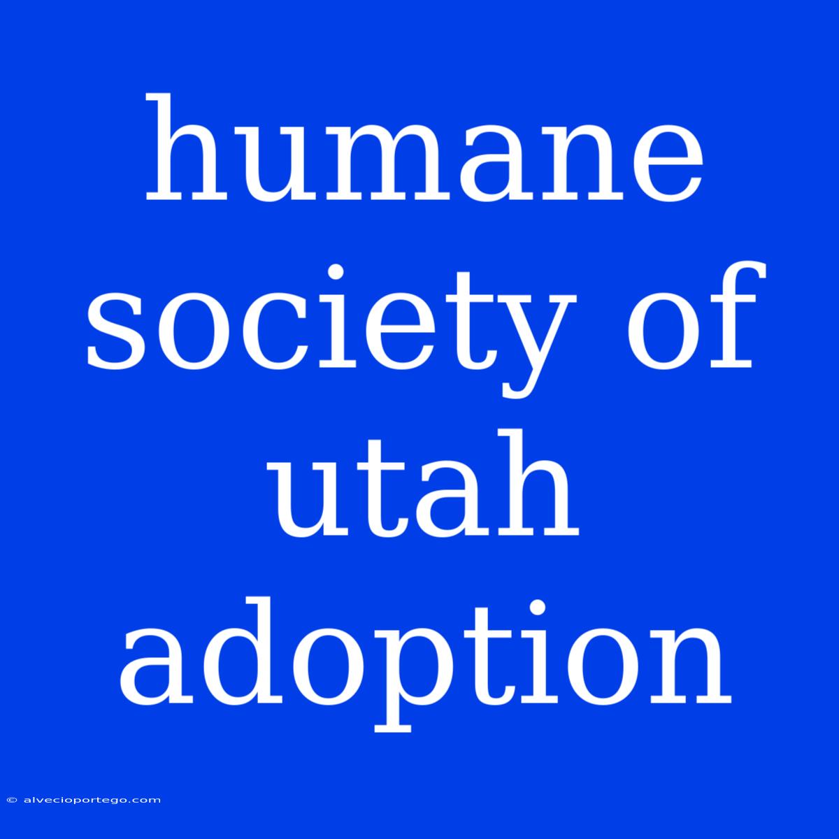 Humane Society Of Utah Adoption