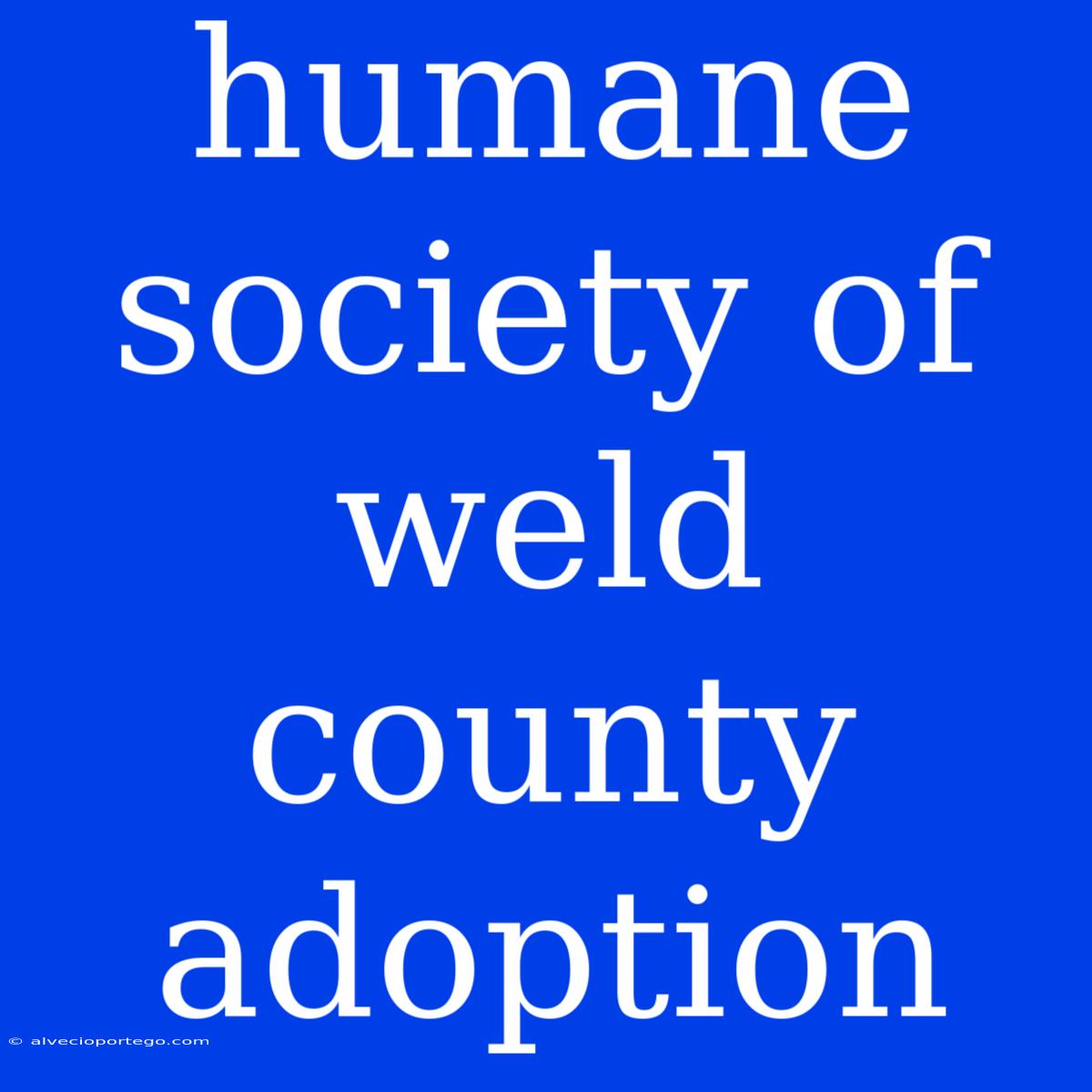 Humane Society Of Weld County Adoption