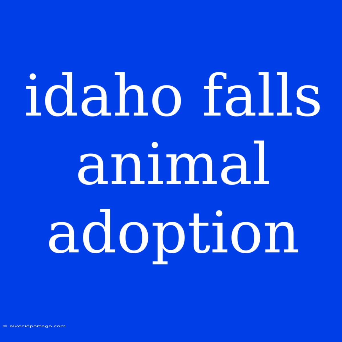 Idaho Falls Animal Adoption