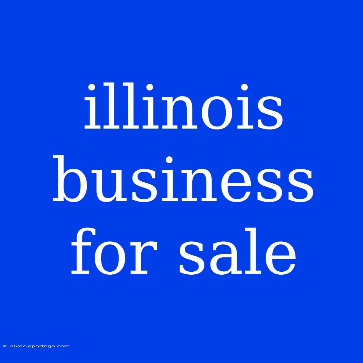 Illinois Business For Sale