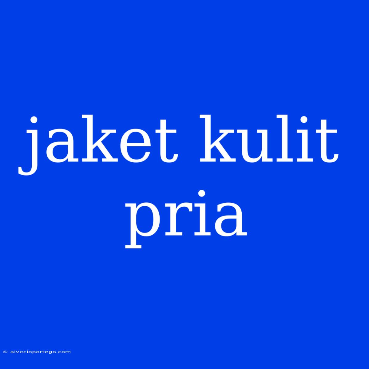 Jaket Kulit Pria