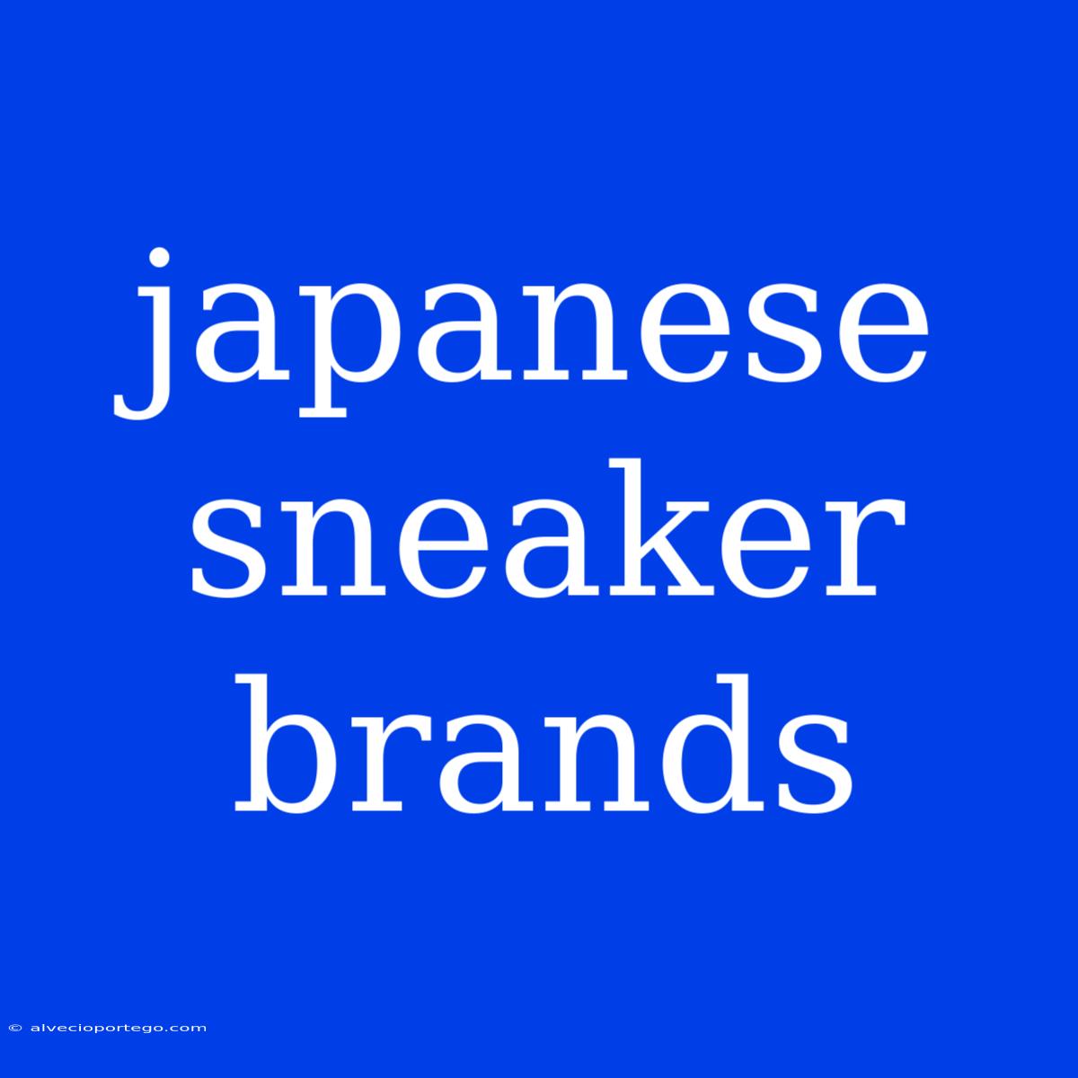 Japanese Sneaker Brands