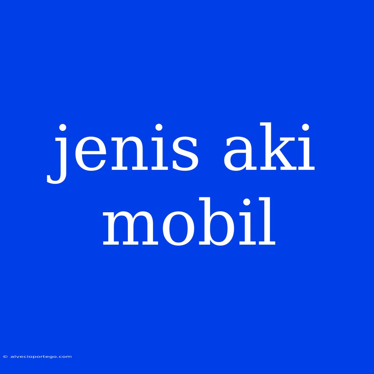 Jenis Aki Mobil