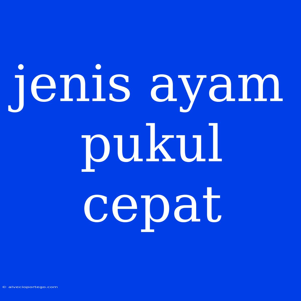 Jenis Ayam Pukul Cepat