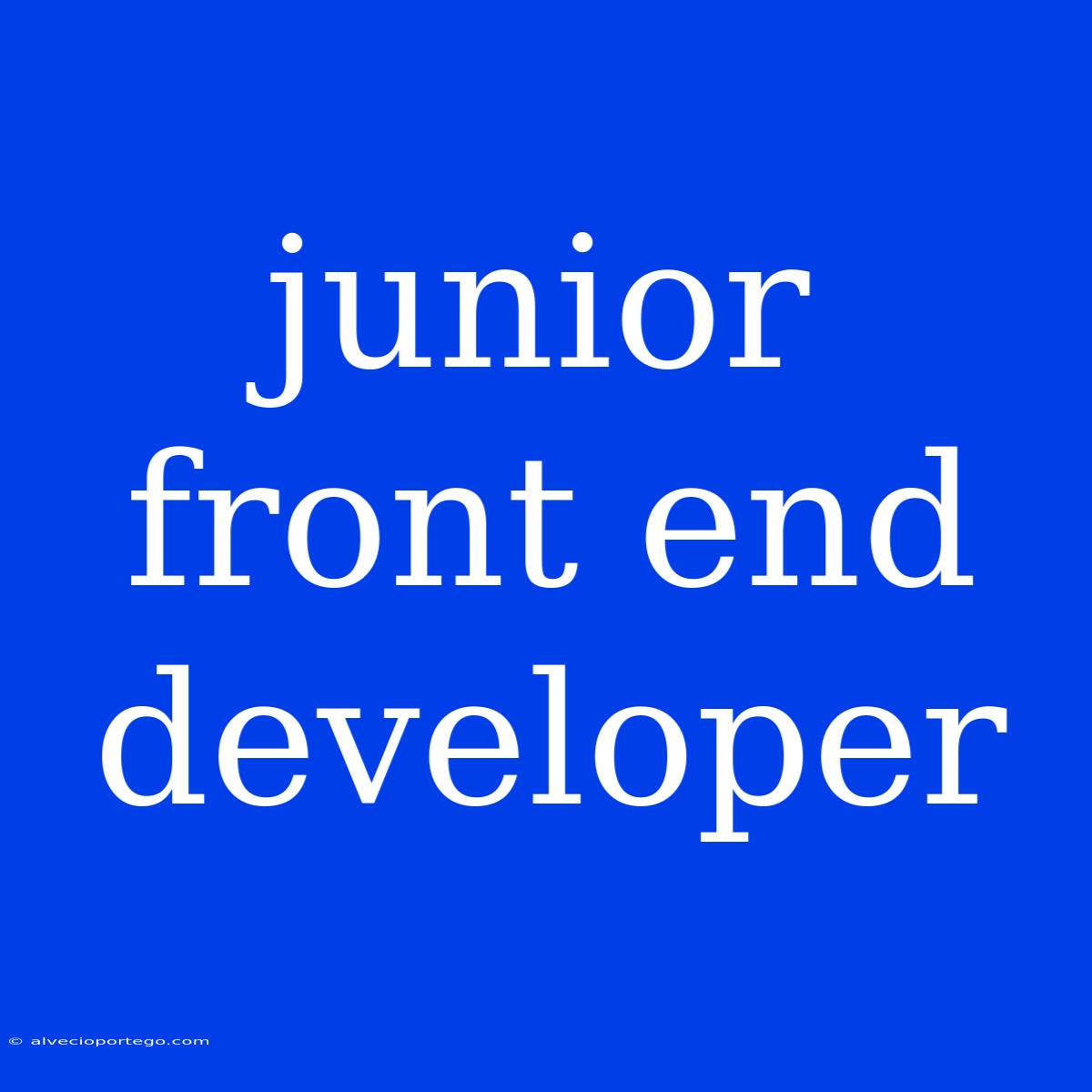 Junior Front End Developer