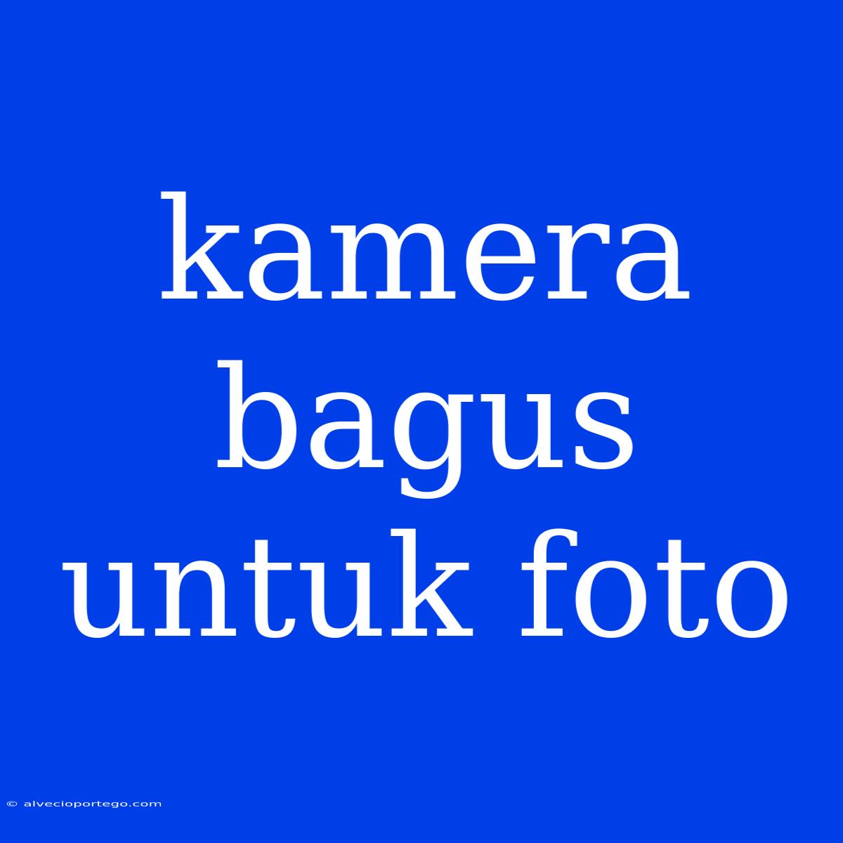 Kamera Bagus Untuk Foto