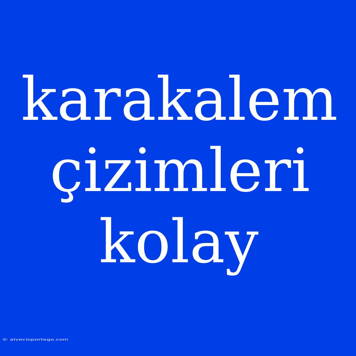 Karakalem Çizimleri Kolay