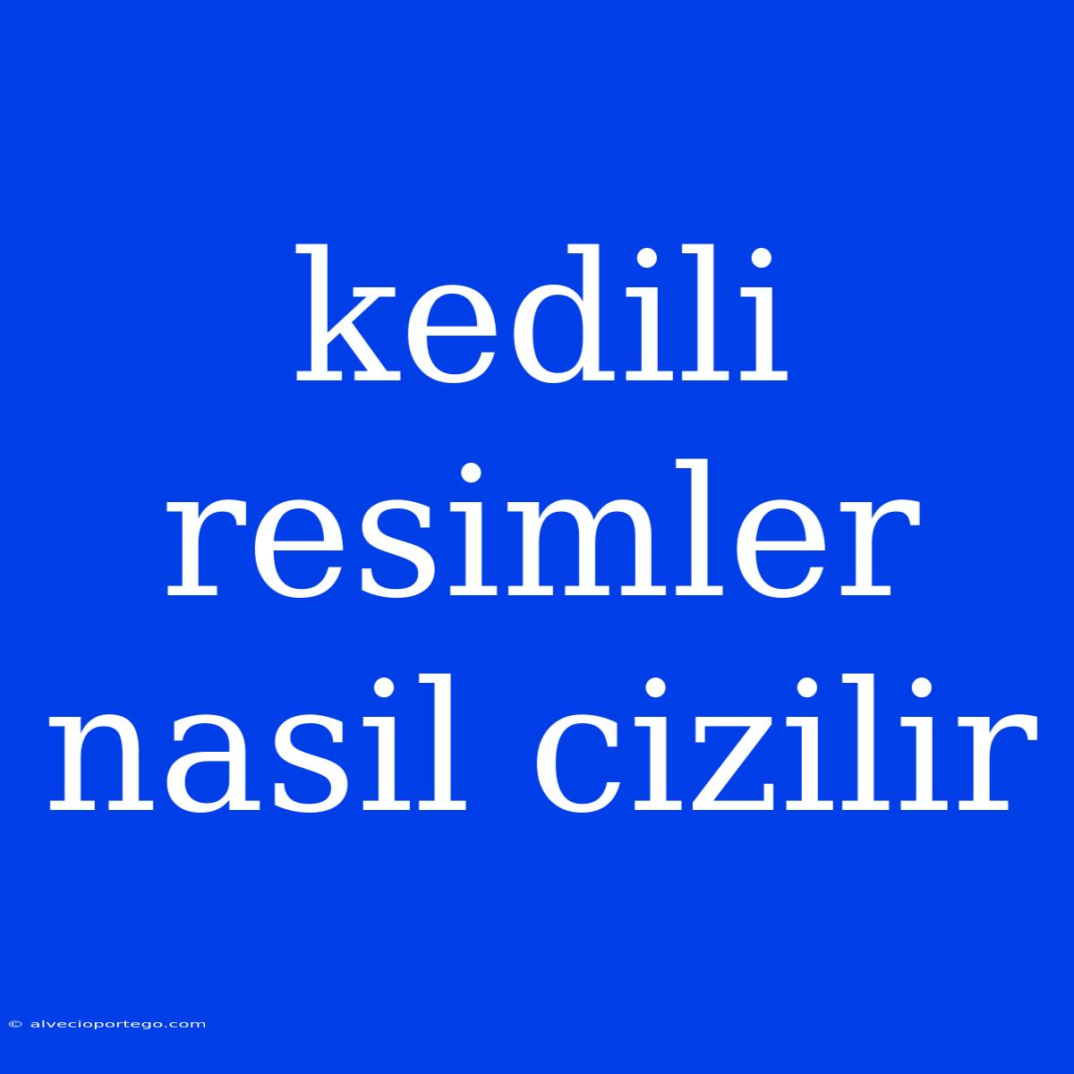 Kedili Resimler Nasil Cizilir