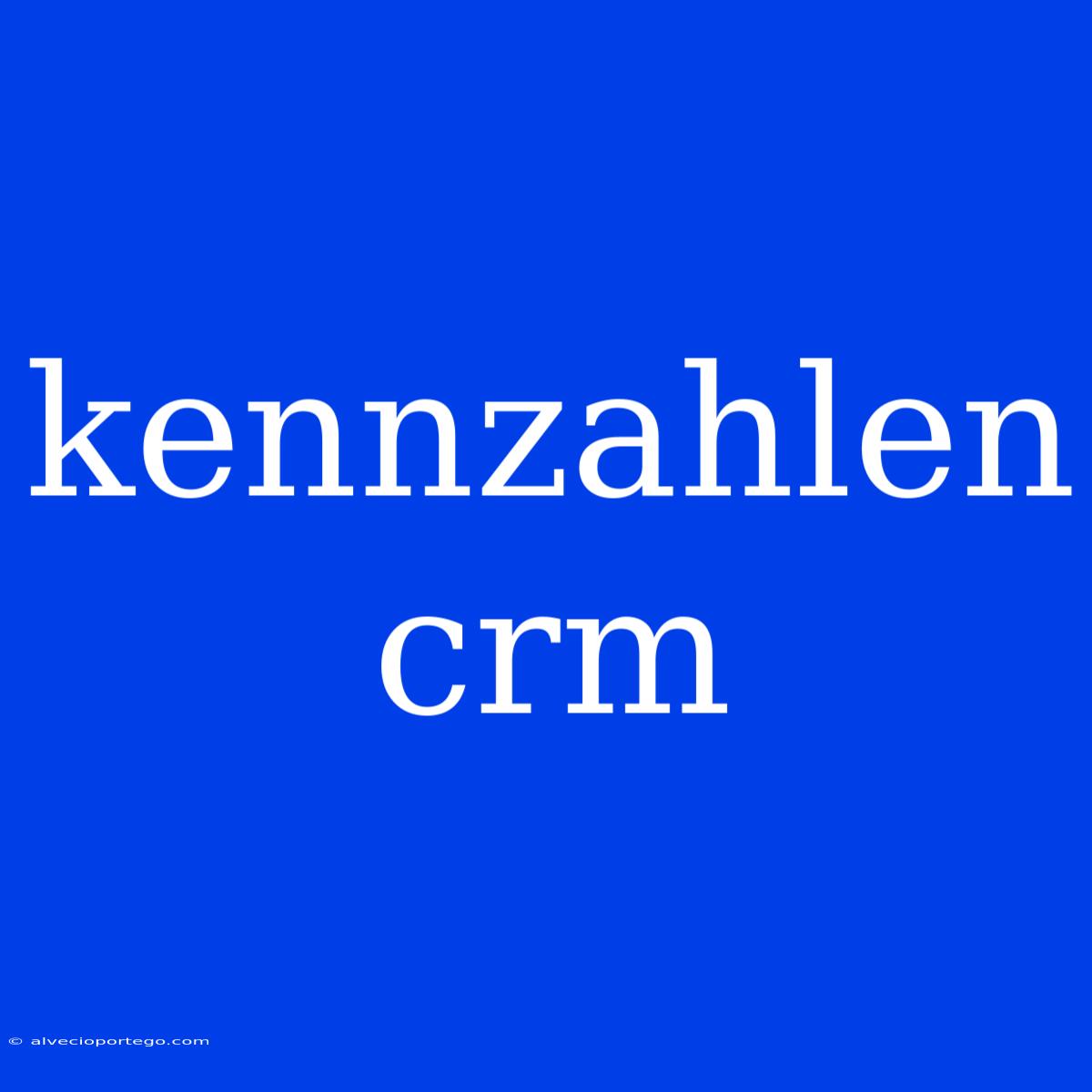 Kennzahlen Crm