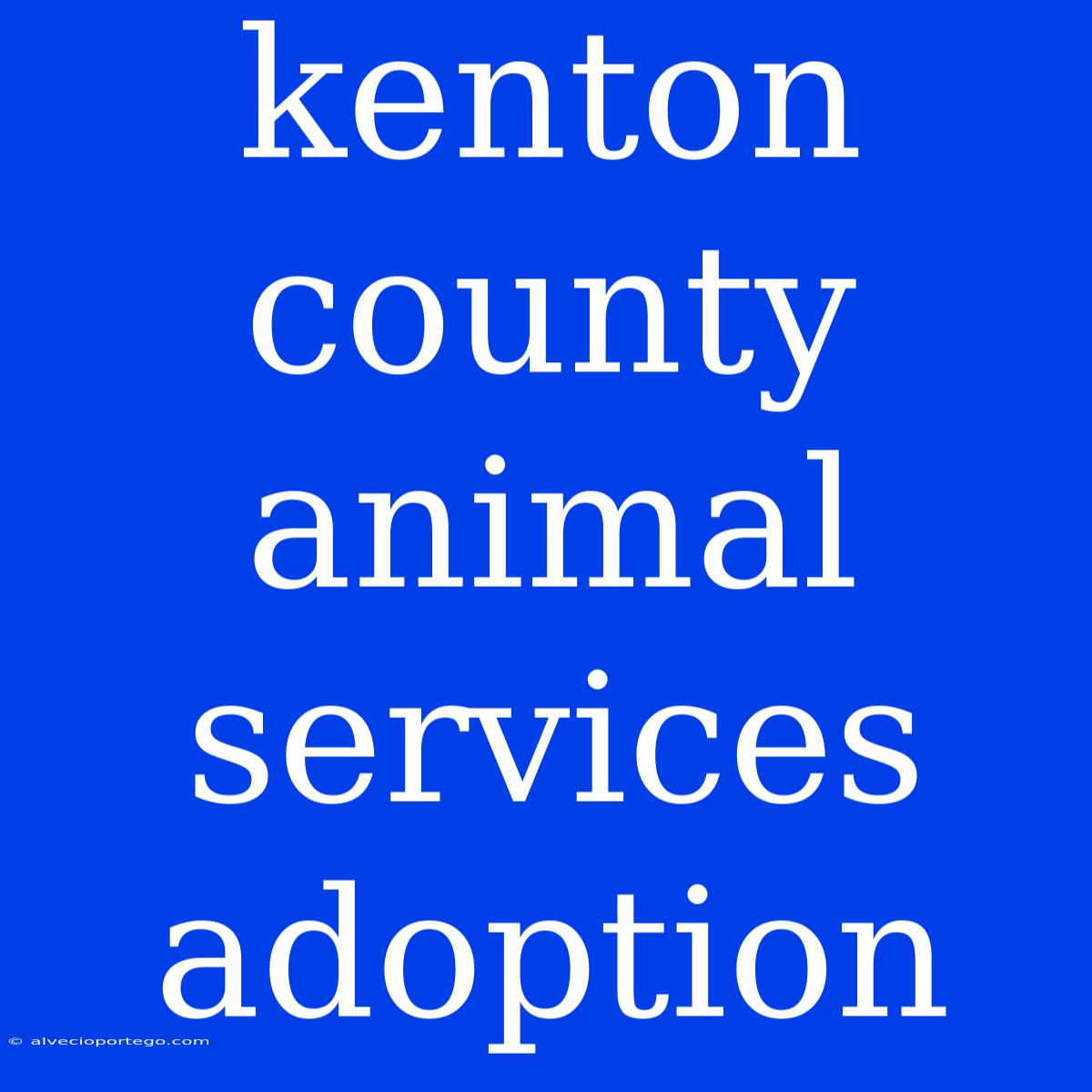 Kenton County Animal Services Adoption