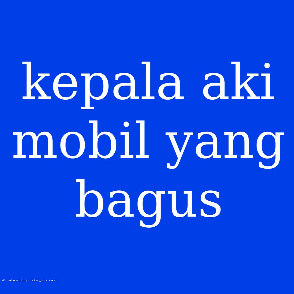 Kepala Aki Mobil Yang Bagus