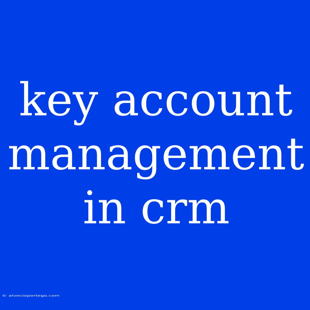 Key Account Management In Crm