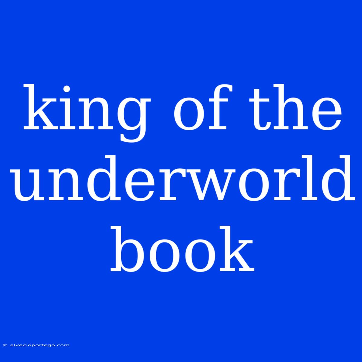 King Of The Underworld Book