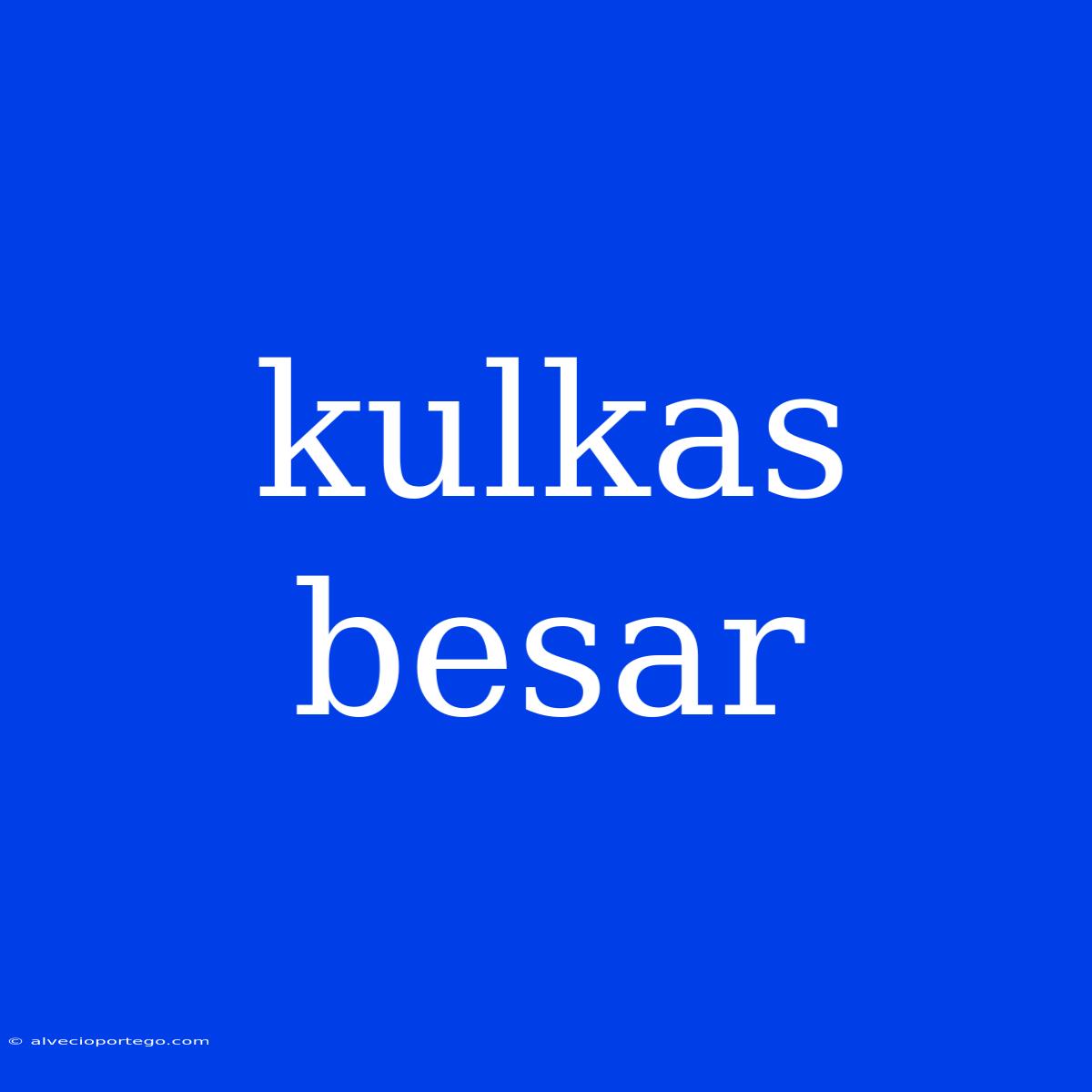 Kulkas Besar