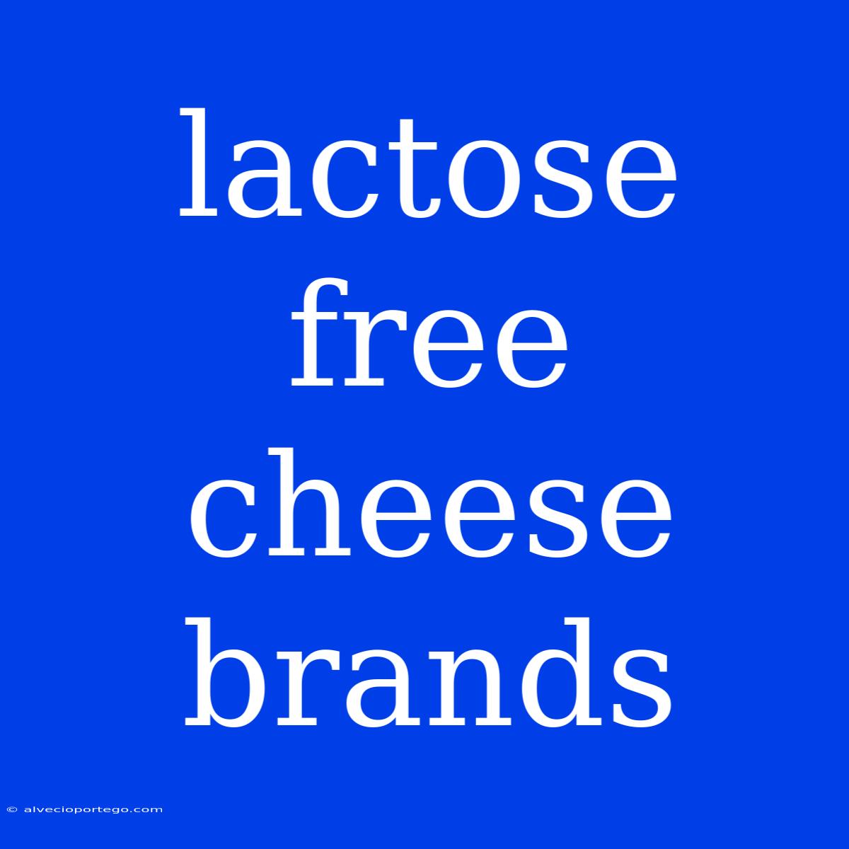 Lactose Free Cheese Brands