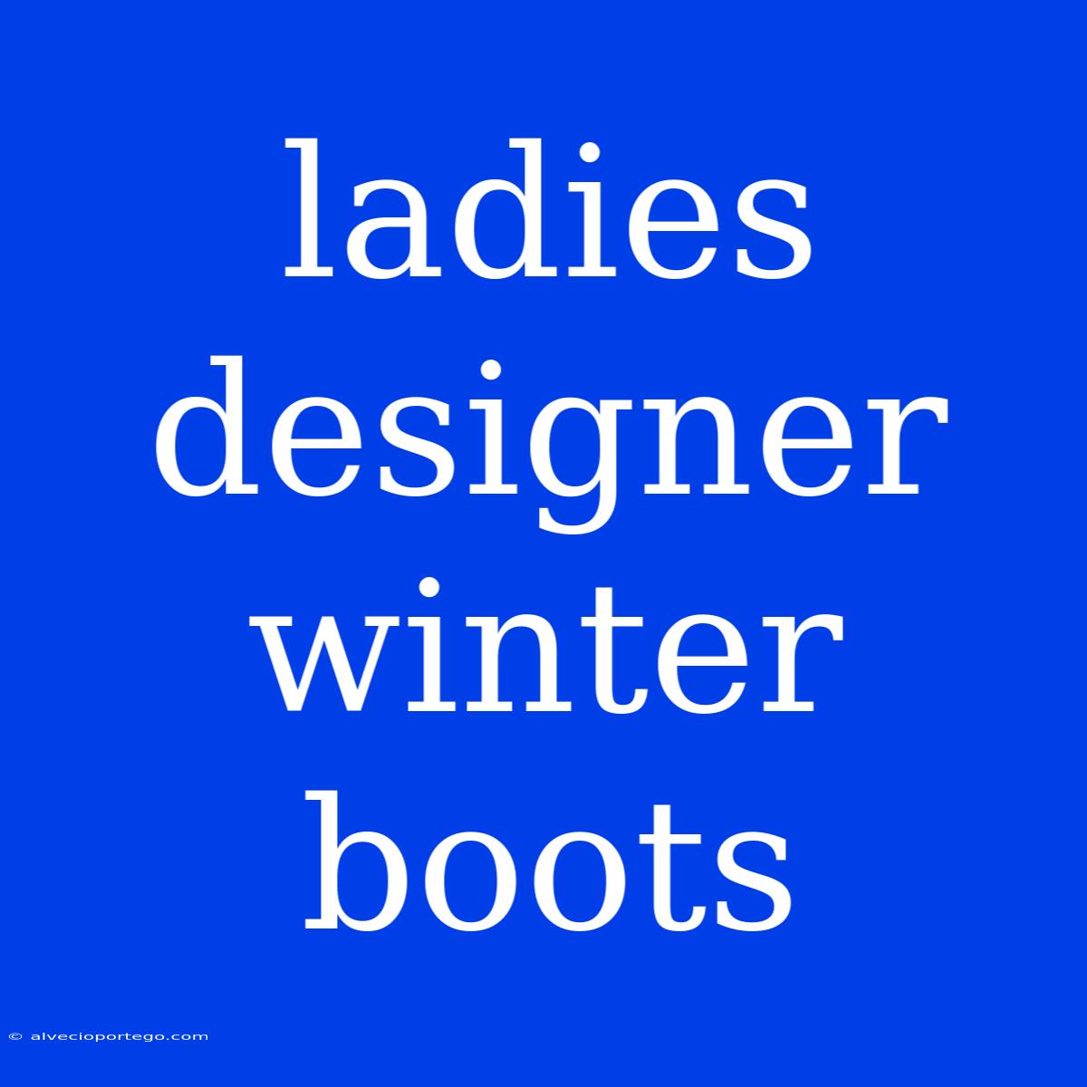 Ladies Designer Winter Boots