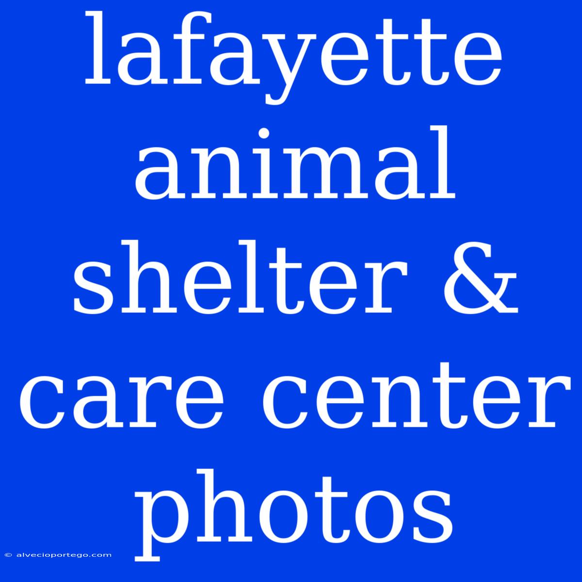 Lafayette Animal Shelter & Care Center Photos