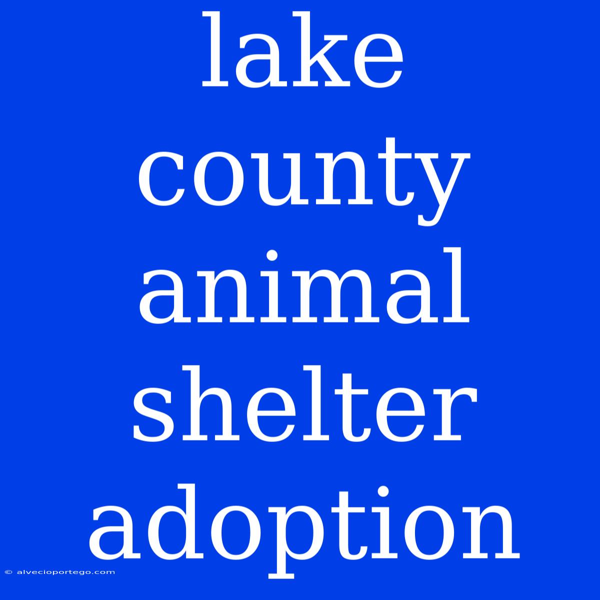 Lake County Animal Shelter Adoption