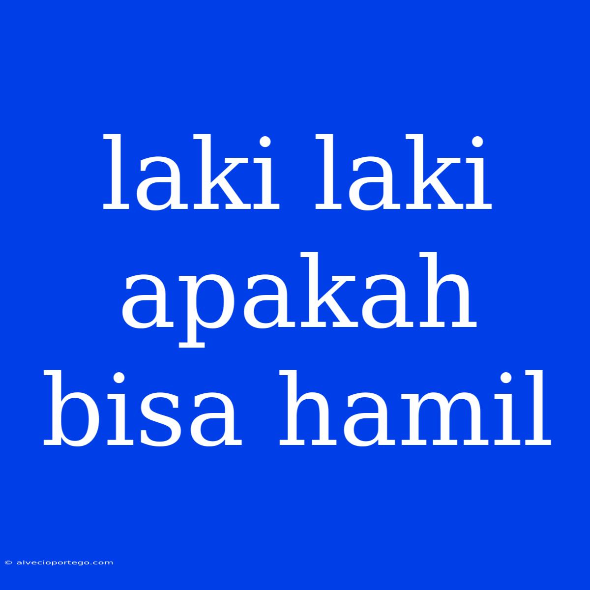 Laki Laki Apakah Bisa Hamil