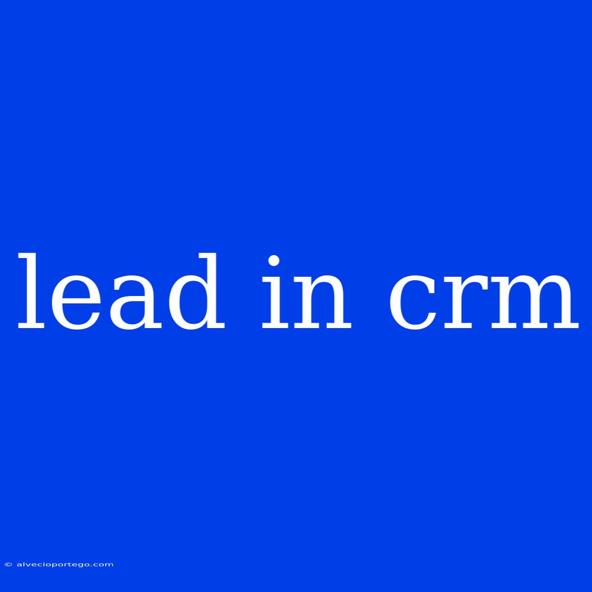 Lead In Crm