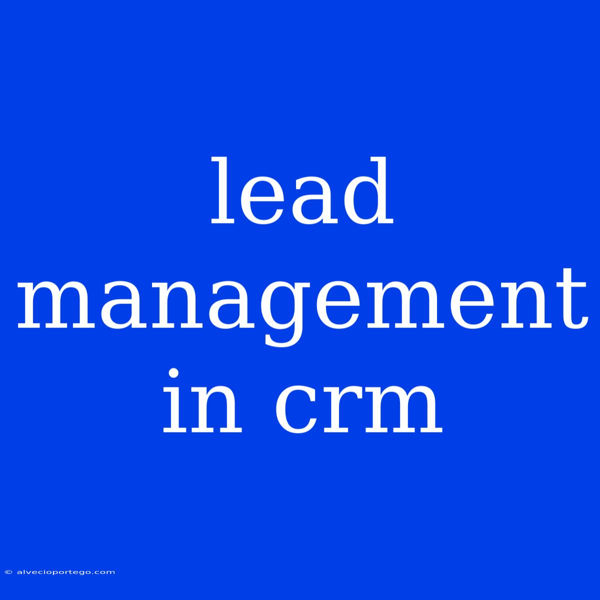 Lead Management In Crm