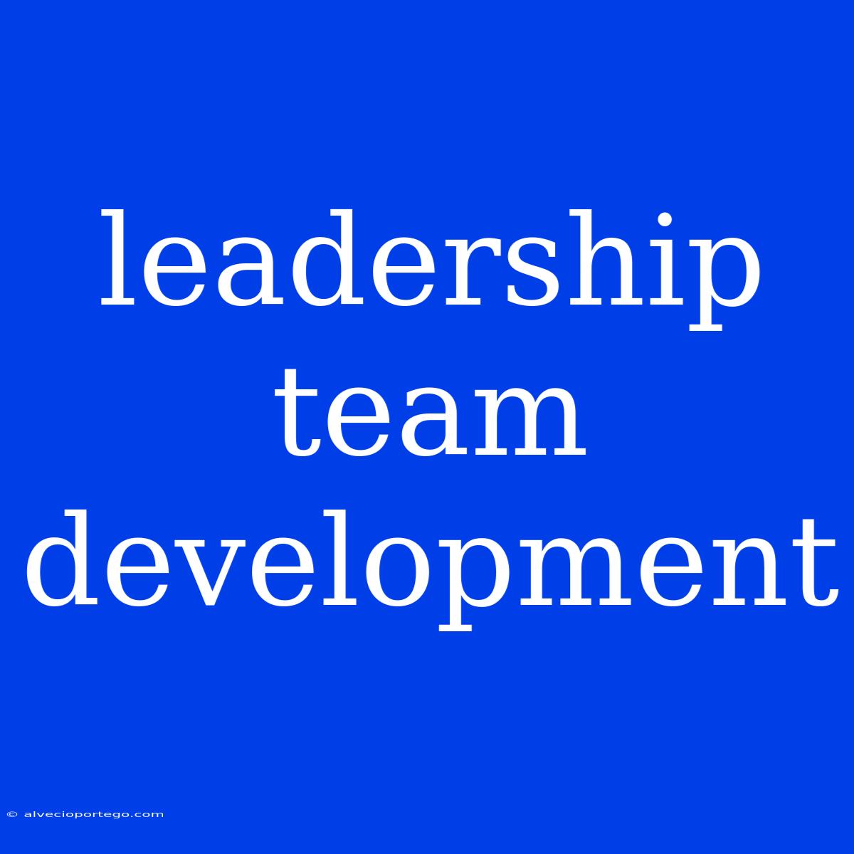 Leadership Team Development