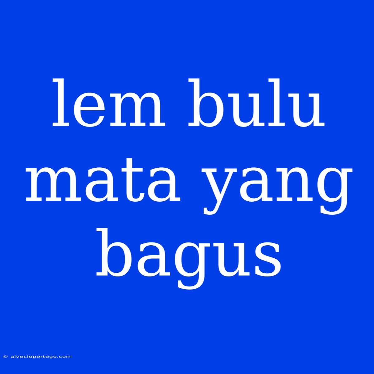 Lem Bulu Mata Yang Bagus