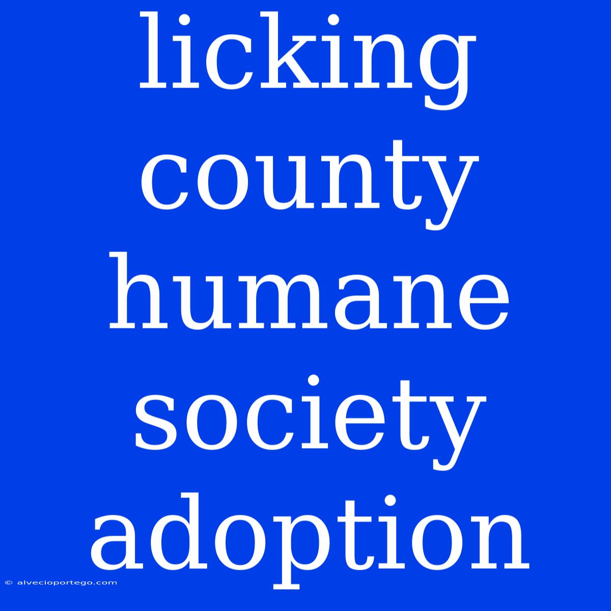 Licking County Humane Society Adoption