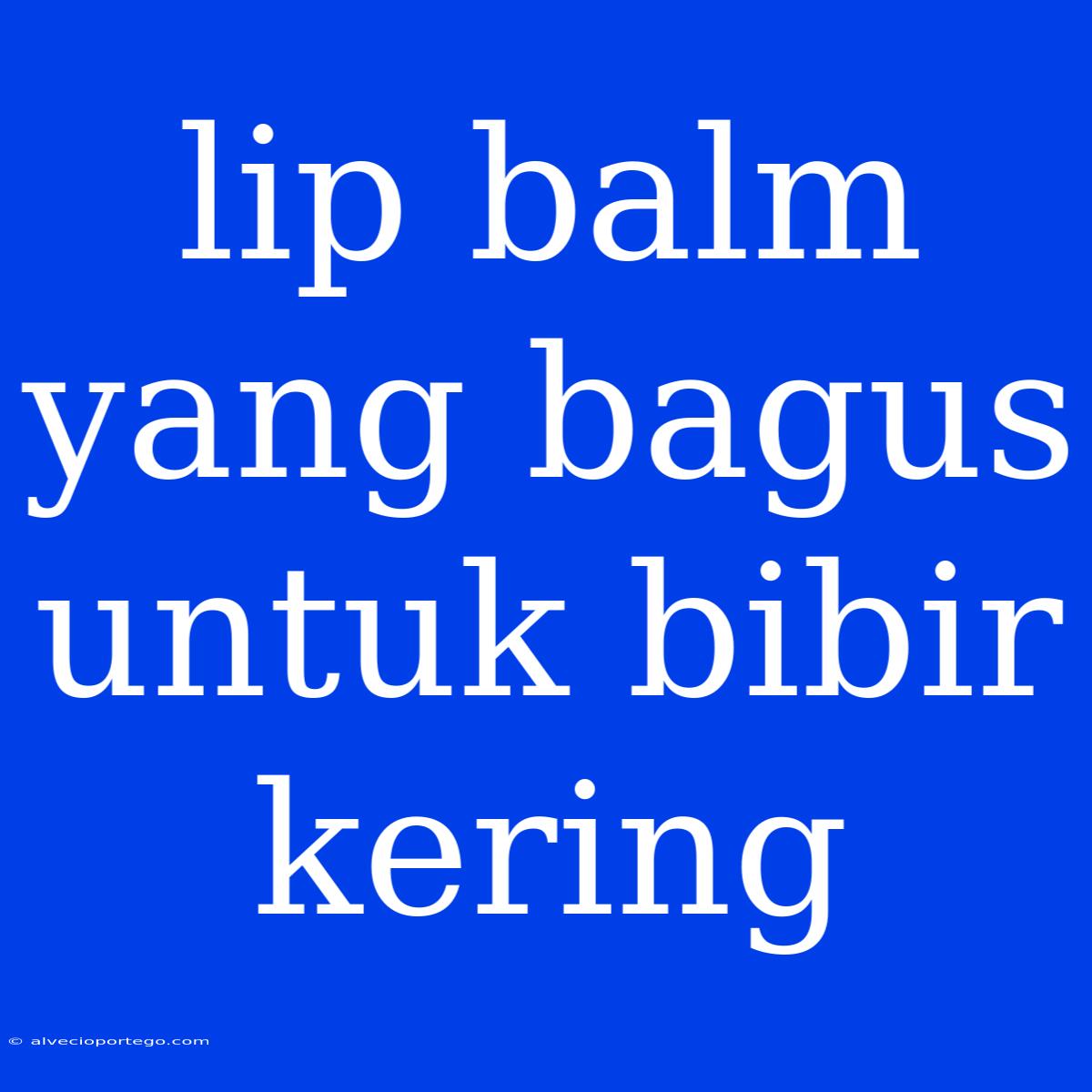 Lip Balm Yang Bagus Untuk Bibir Kering