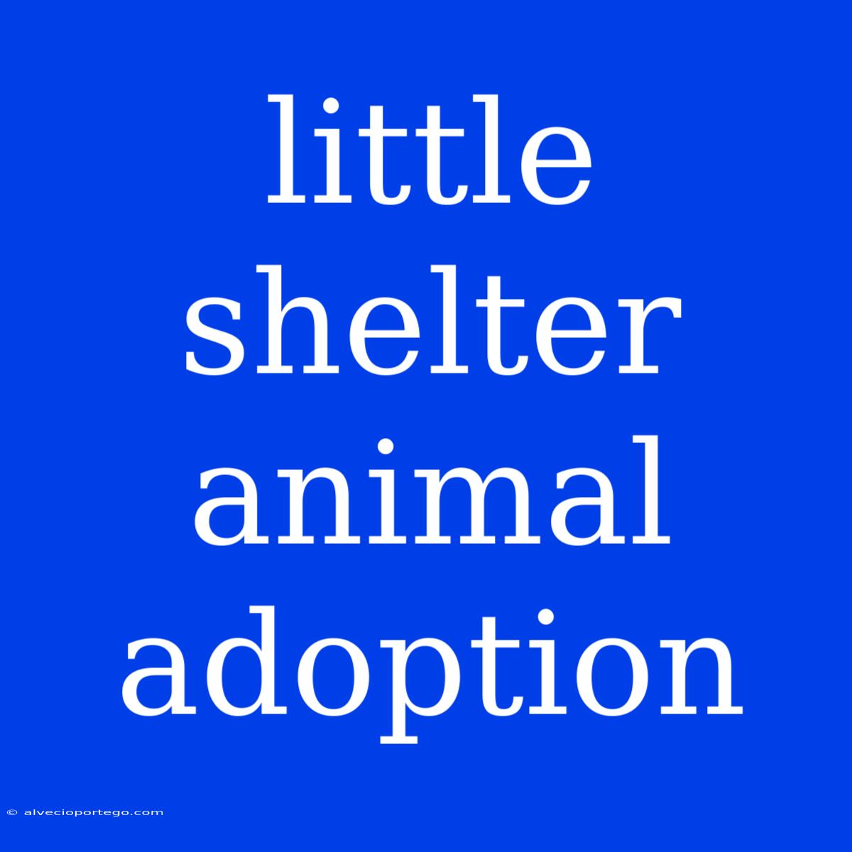 Little Shelter Animal Adoption