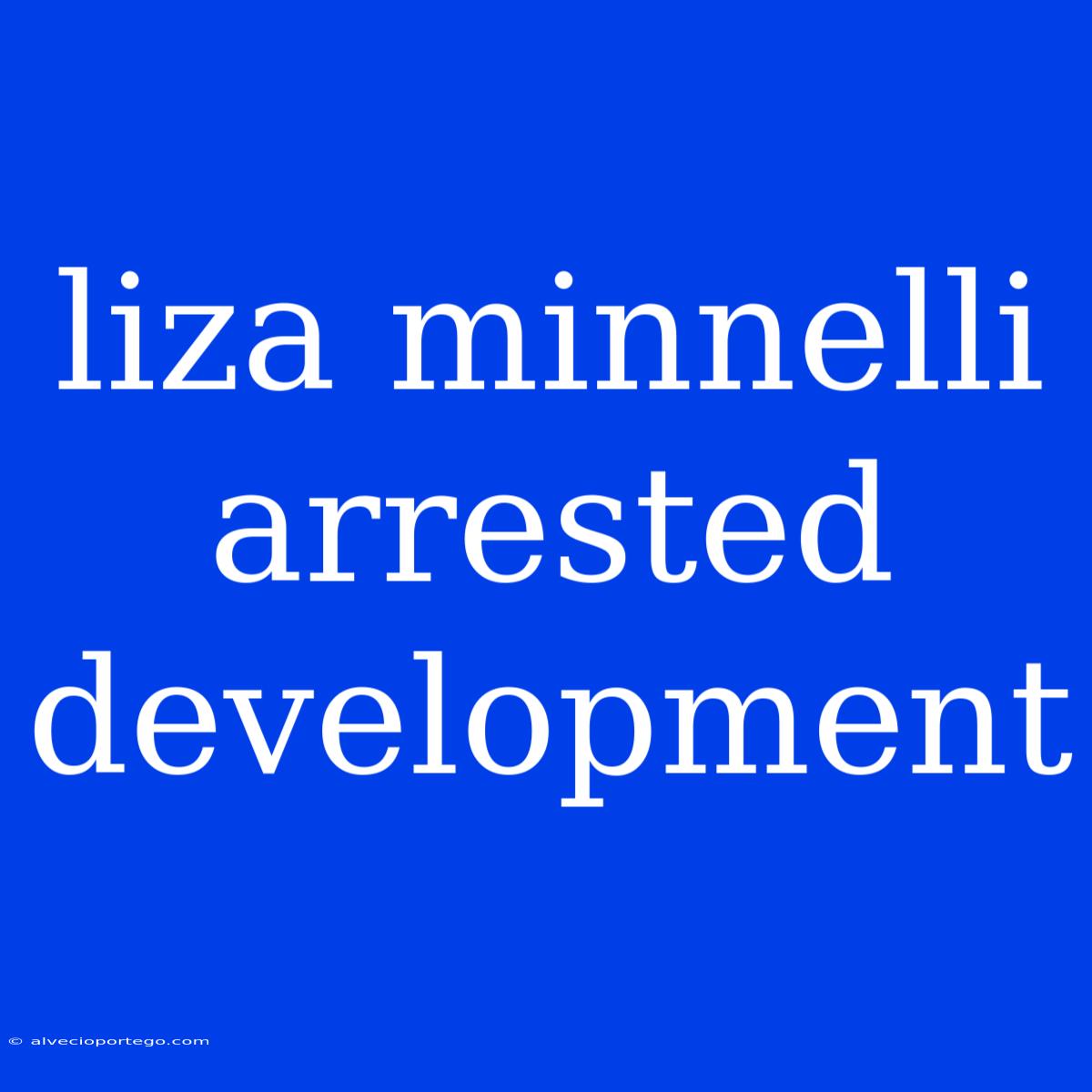 Liza Minnelli Arrested Development