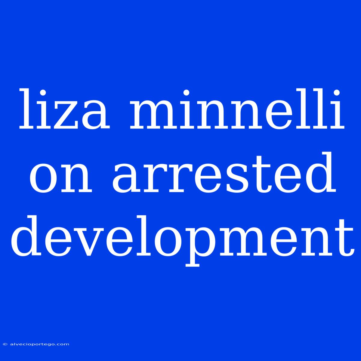 Liza Minnelli On Arrested Development