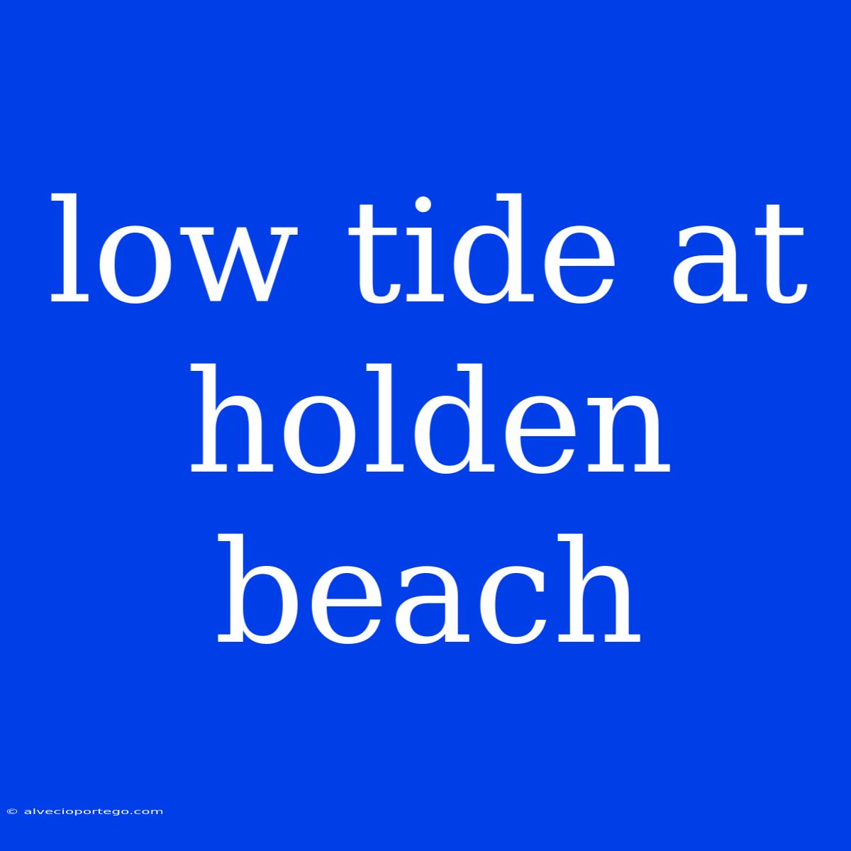 Low Tide At Holden Beach