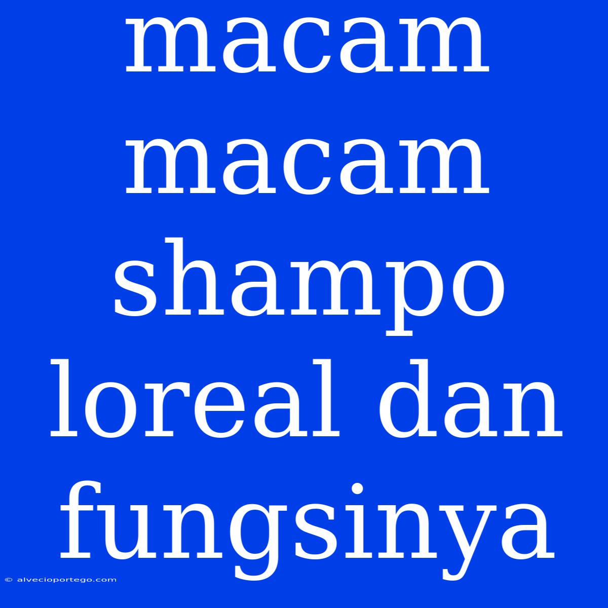 Macam Macam Shampo Loreal Dan Fungsinya