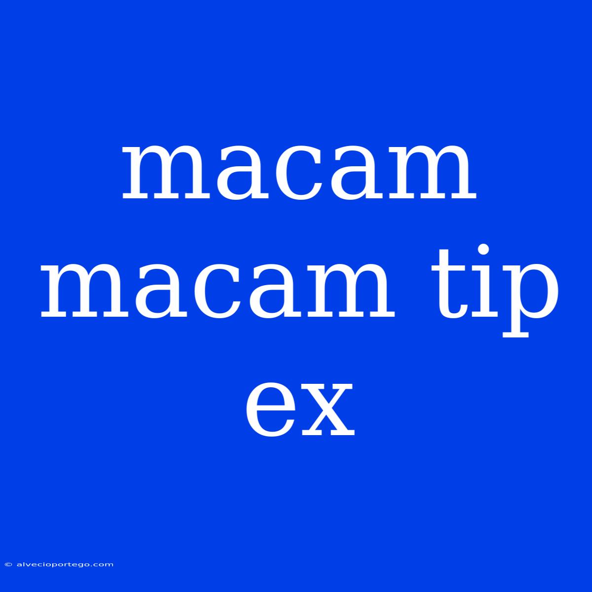 Macam Macam Tip Ex