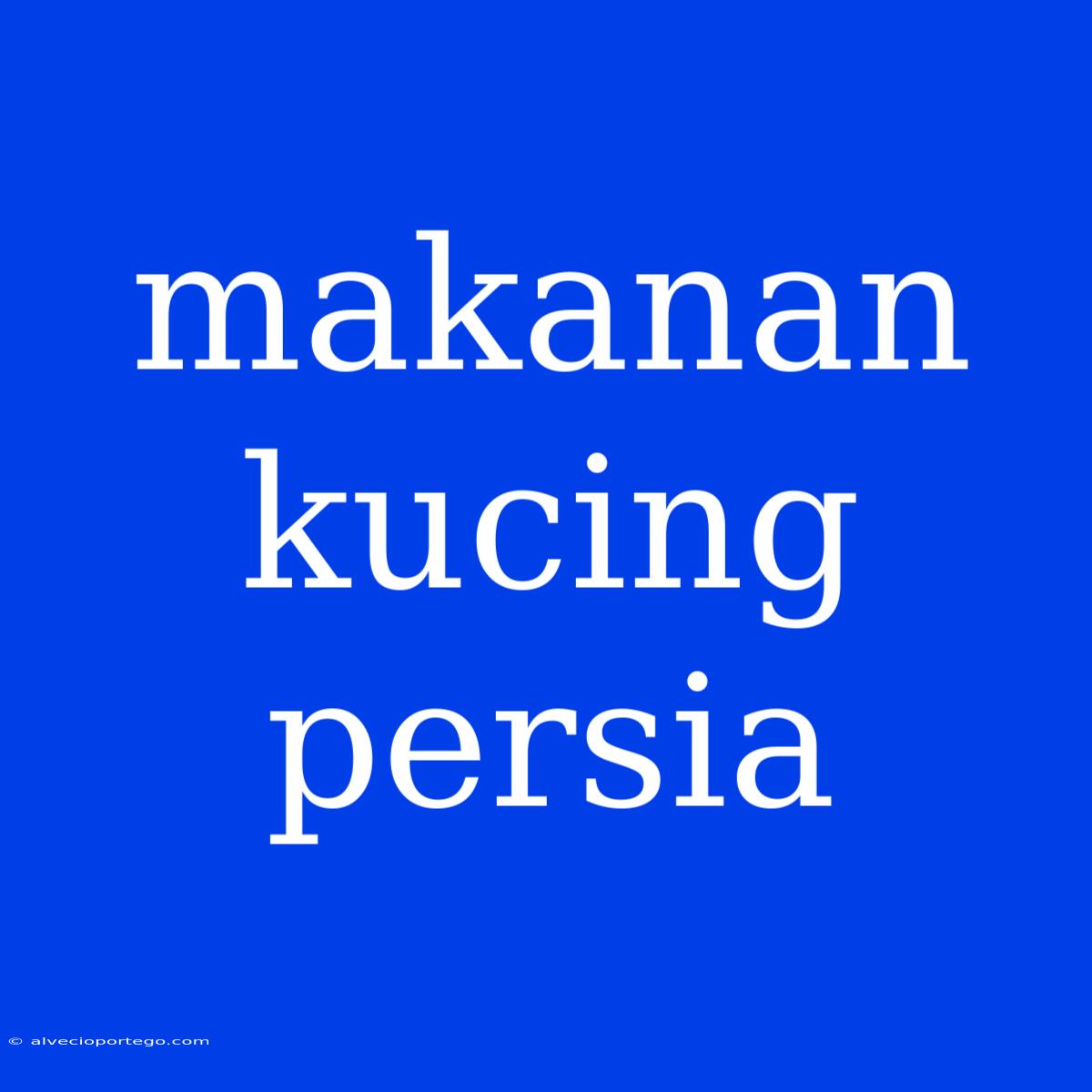 Makanan Kucing Persia